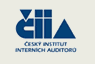Český institut interních auditorů o.s.